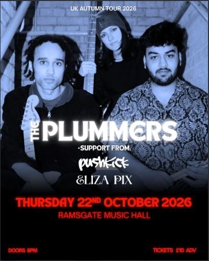 poster for The Plummers